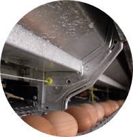 poultry-farming-system