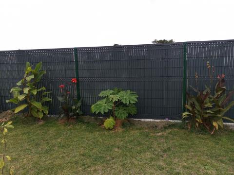 Screeno Line - Arthon en Retz - France