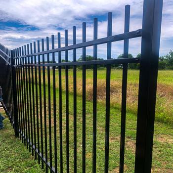 Truview ornamental summit fence Betafence